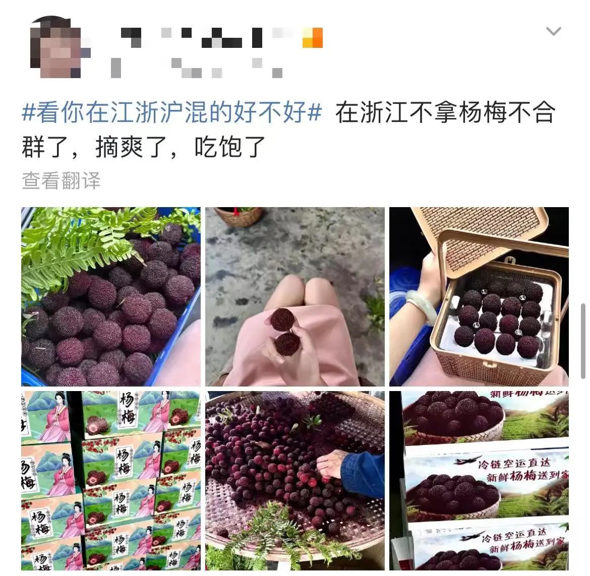 8ce0346f44b9f98bbb84c31ab6bf596c.jpg 8ce0346f44b9f98bbb84c31ab6bf596c.jpg