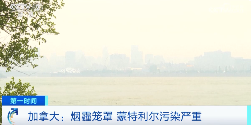 608a0ccde716179aad5d337bd3bcb85e_640_wx_fmt=png&wxfrom=5&wx_lazy=1&wx_co=1.png