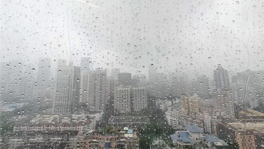 雨热同台！广东南部地区雨势强劲局地有暴雨