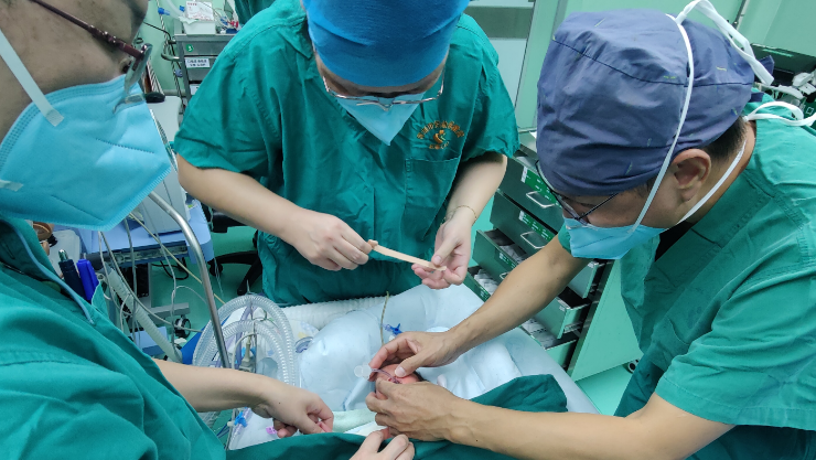 深圳市妇幼保健院成功完成全国最小新生儿微创肝脏肿瘤切除术