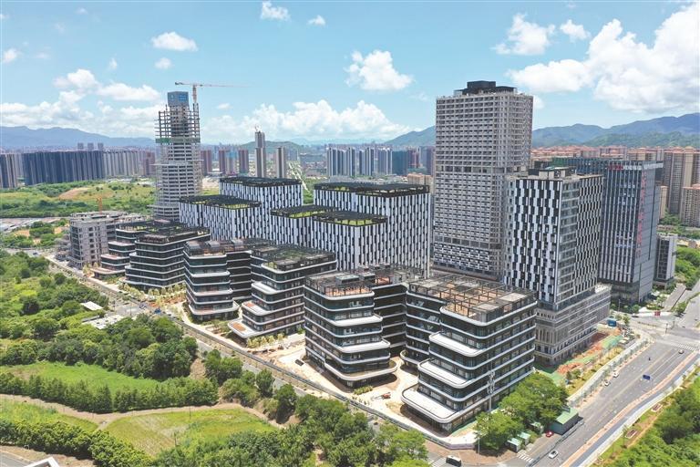 坪山:聚合创新之力 共成未来之势_深圳新闻网