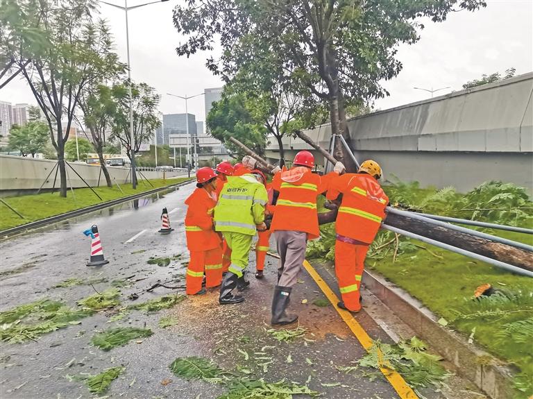 防御台风守护城市安全 深圳交通织就平安出行“保障网”