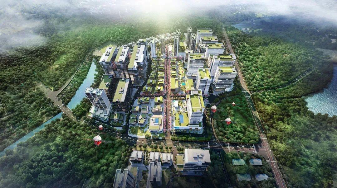 前海向东5站，崛起一座醇熟产业大城！京东让这里价值大爆发