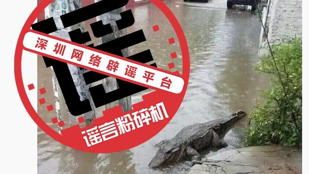 深圳街头惊现鳄鱼？谣言别信！