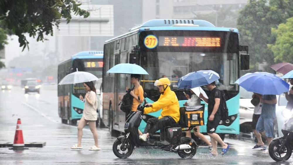 暴雨来袭，聚力守家园——深圳防汛救灾一线全景扫描