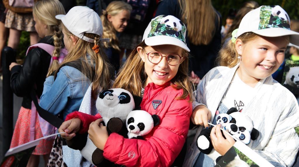大熊猫“梵星”启程回国 荷兰民众依依惜别