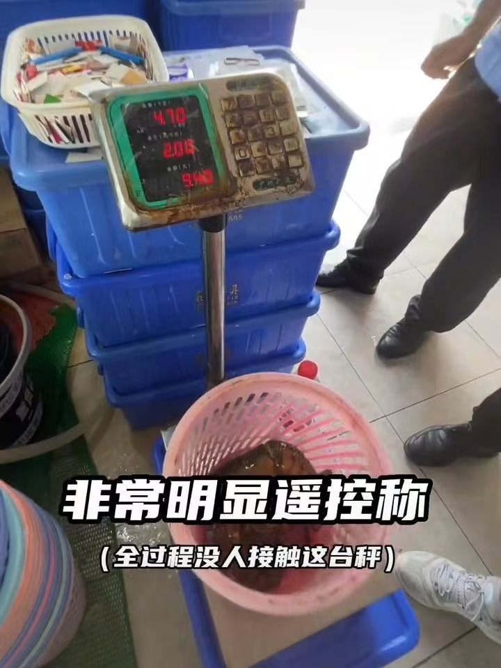 d177df4c158c1209228a0e93cda87590.jpeg