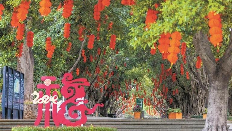 2024深圳公园文化季启动，系列新春活动来袭