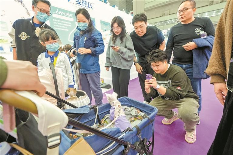第11届中国（深圳）国际宠物用品展览会在深举办 AI给宠物拍视频 真的太方便了