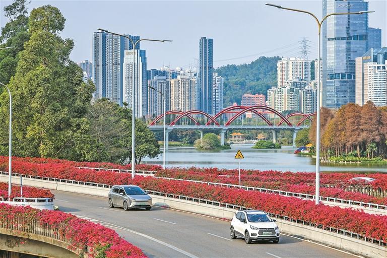 深圳大力探索推广桥梁悬挂绿化，形成一道道凌空风景线 327座立交桥成“花桥”