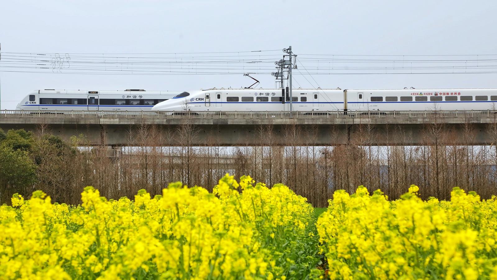 坐着火车去赏花！长三角铁路“一站式”春游服务来了！