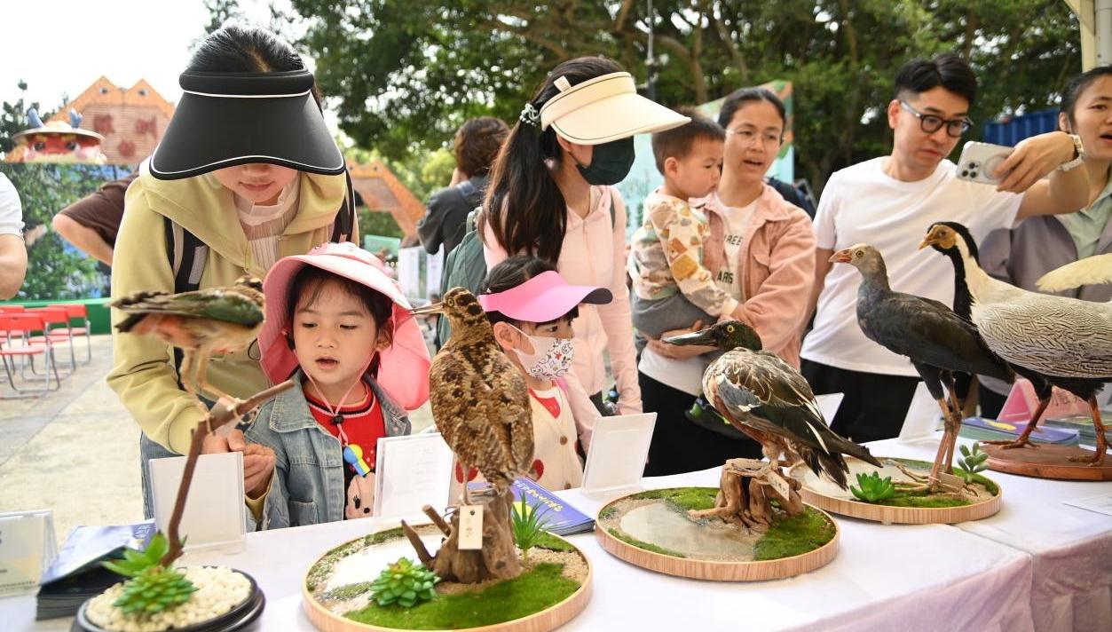 深圳举办“爱鸟周”宣传活动，推动绿美深圳生态文明建设