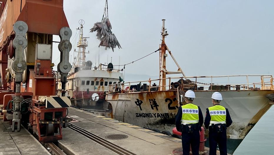 IN视频|150吨！大铲湾码头迎来深圳今年首批远洋金枪鱼