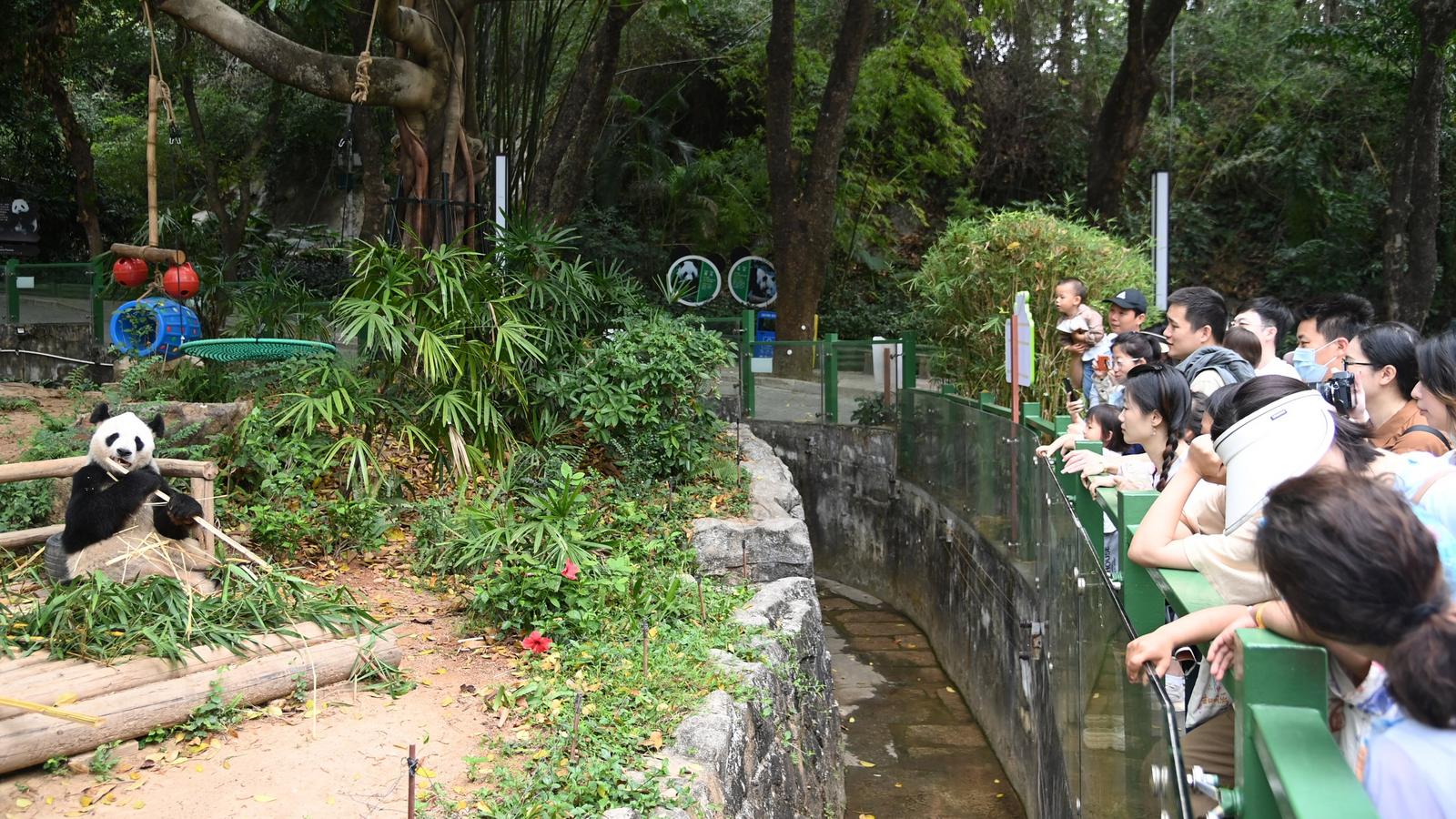 春意盎然！游客在深圳野生动物园里邂逅“奇妙的朋友”