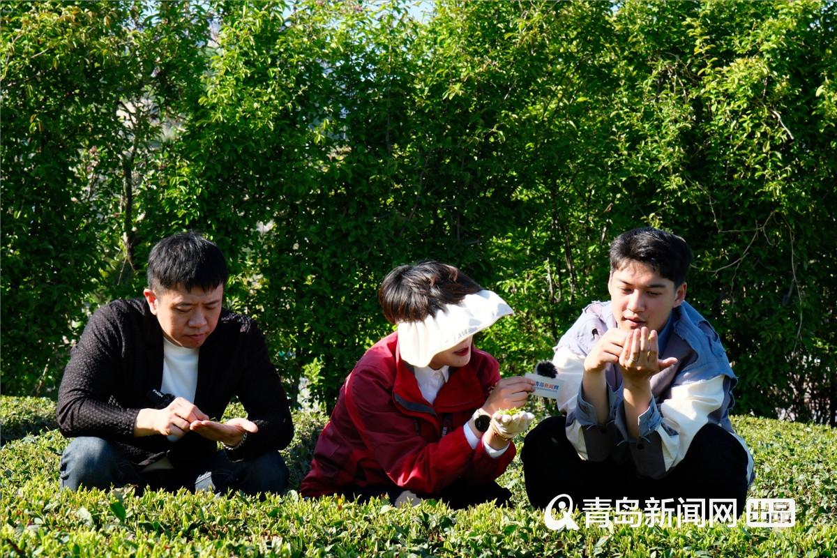a441ebab6d115f1a0d73e68852a5a7d5_230729bd-459c-443b-869b-d106e8e4c3d4.jpg