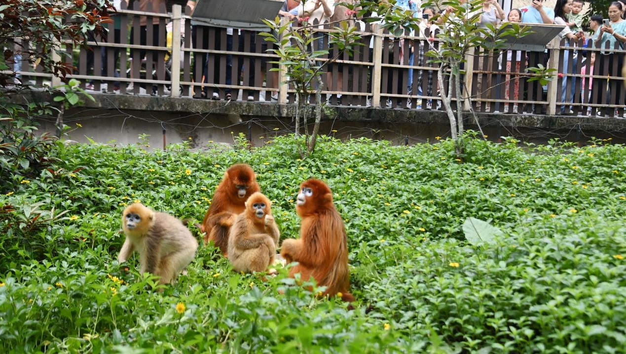 深圳野生动物园“动物科普季”受游客欢迎
