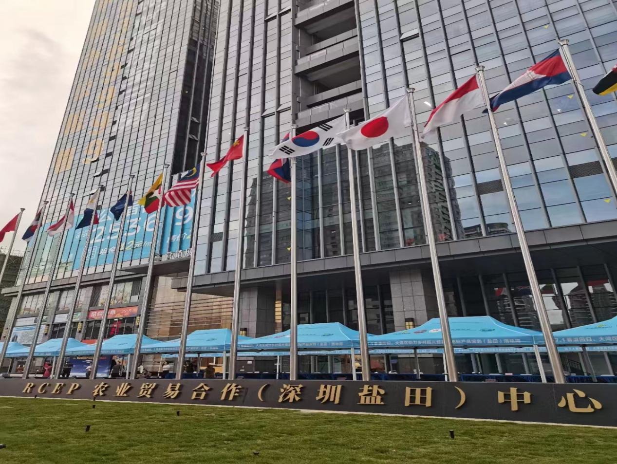 深圳市岩石金贸易行业的市场动态观察与思考