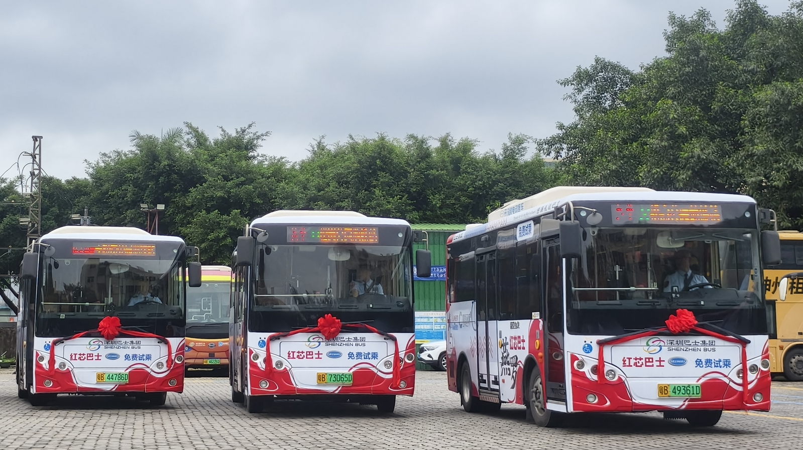 免费乘坐！深圳燕罗街道“红芯巴士”长者专线正式开行