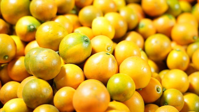 从默默无闻到年货顶流，这个小县城培育出金桔界的“爱马仕”？