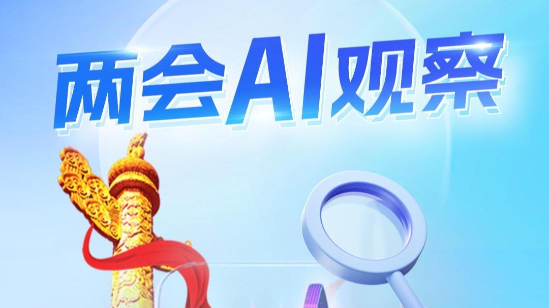 两会AI观察｜提民生热点 解民生难题