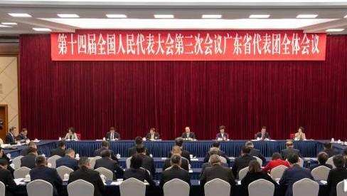 广东代表团举行全体会议审议政府工作报告 黄坤明谌贻琴王伟中黄楚平等发言