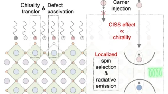 哈工大（深圳）科研团队在光电器件领域取得重要研究进展