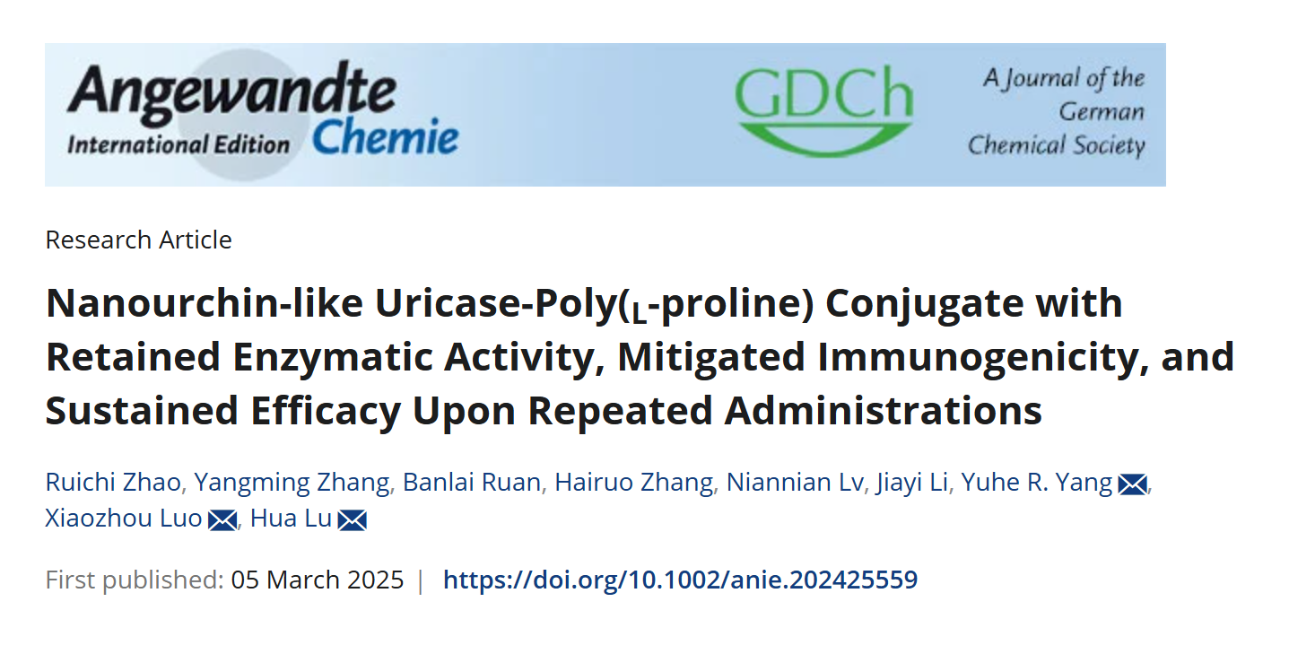 助力攻克高尿酸血症与痛风难题 科学家开发新型蛋白药物修饰技术
