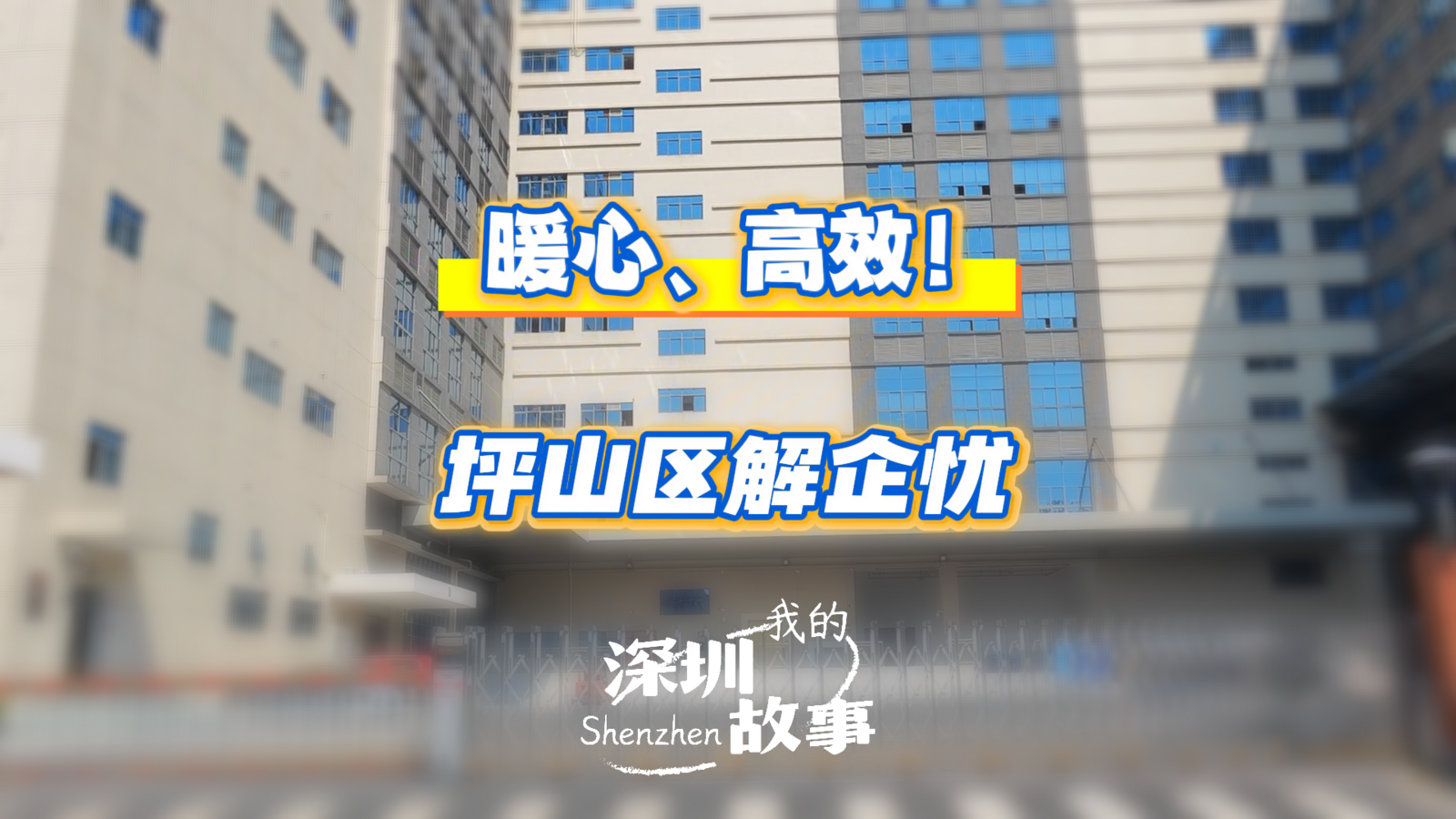 暖心、高效！坪山区解企忧