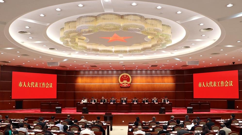 坚持“两个高质量”让深圳人大代表好建议成为助推发展的“硬招实招”