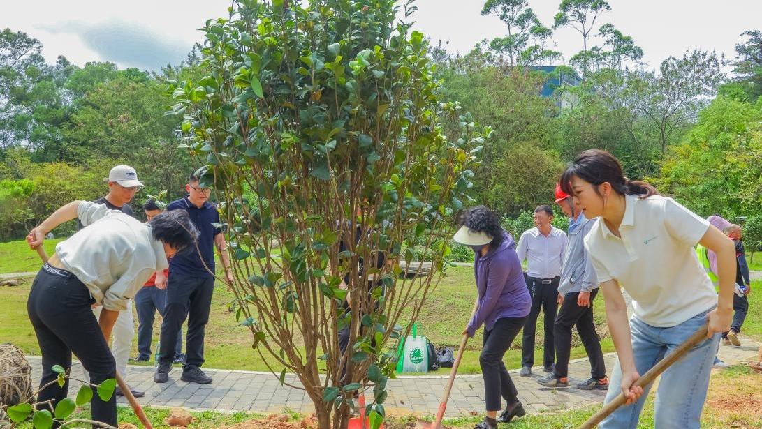 宝安区再添新绿！政企携手谱写绿美新篇