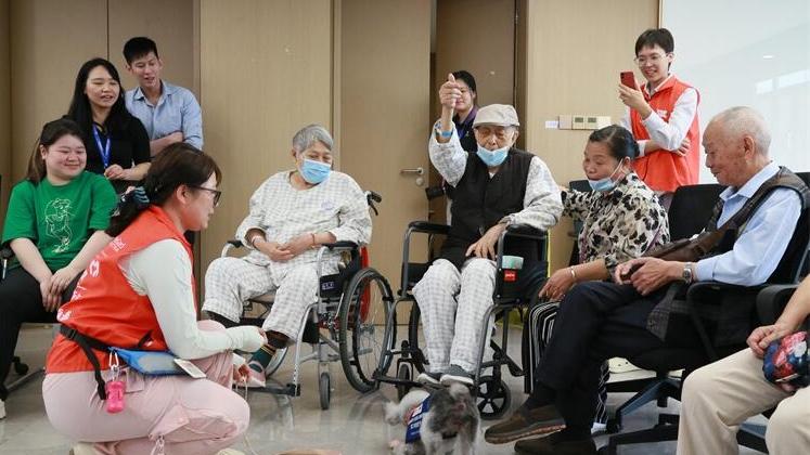 福田区第二人民医院举办动物辅助疗法学术沙龙