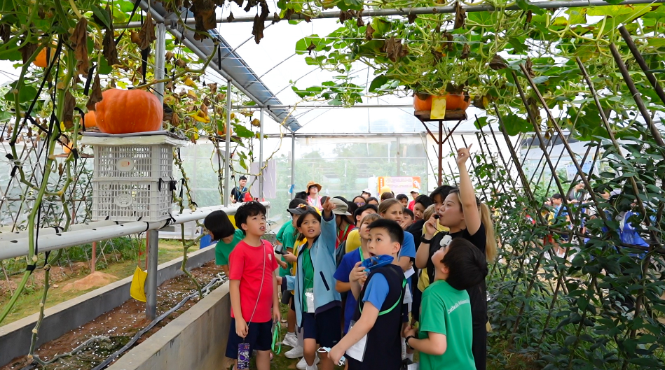 深港学子齐聚横岗 共启航天农业科技探索之旅