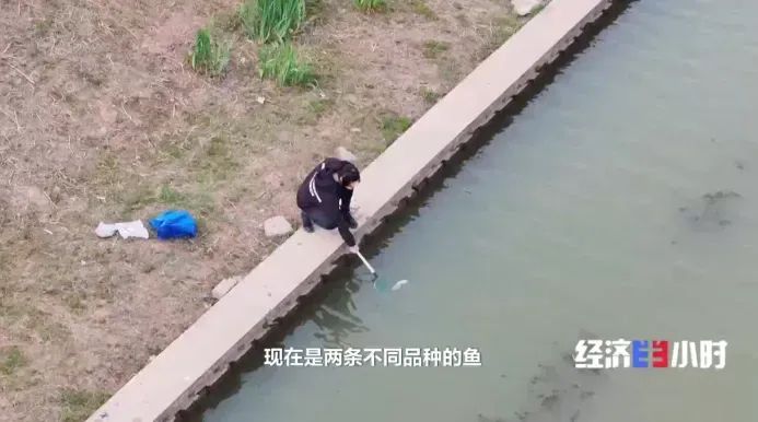 植保飞手招聘_低空经济跳伞教练_无人机应用场景规划师