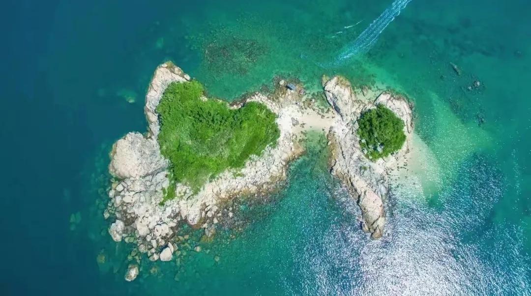 大鹏新区2025年度十大爱情地标浪漫揭晓！