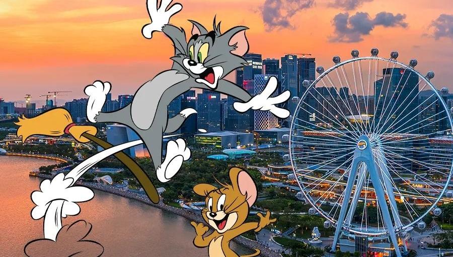 到前海“嗨”！端午假期到前海看猫和老鼠