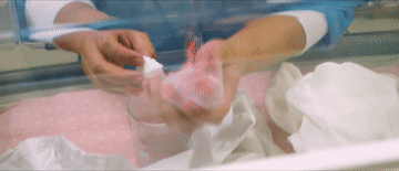 105012025052200030119.gif