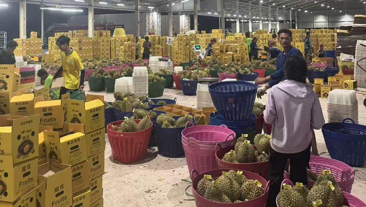 首次实现泰国榴莲直发，快手电商打通跨境生鲜新链路