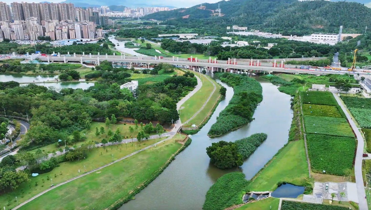 家门口的诗意栖居地！坪山河畔藏着一片格桑花秘境