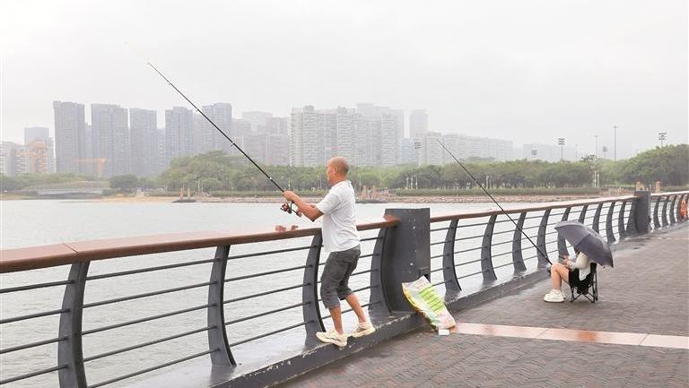 深圳将在各区规划多个垂钓点位 不同垂钓区的渔获不同