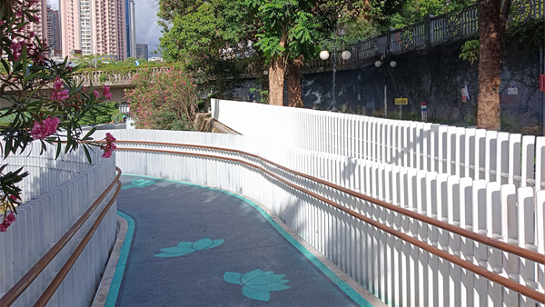 赏荷新体验 洪湖公园与人民公园景观跑道开通