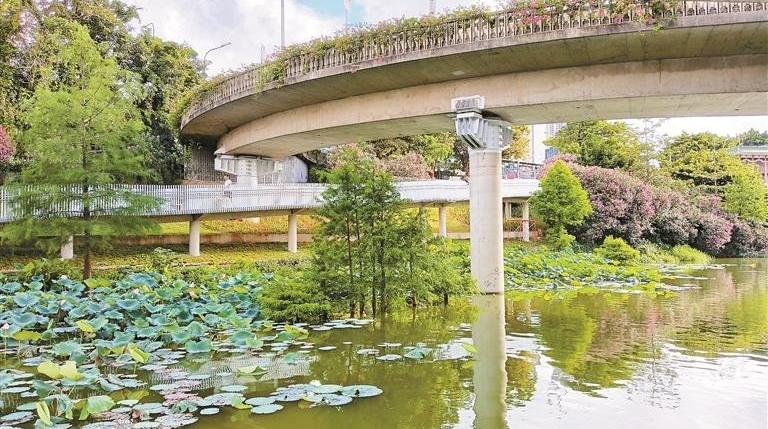 市民提议的无障碍通道建成 一条跑道串联罗湖两大公园