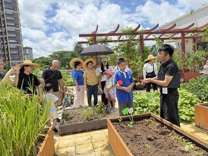 “精耕细作，技艺传承”：坪西社区志愿者农耕技能提升工作坊圆满举行