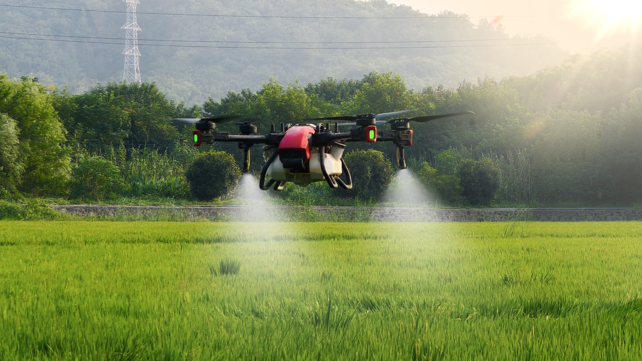 图虫创意-2107175311296823305.jpeg 图虫创意-2107175311296823305.jpeg