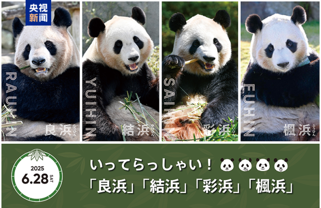 d7320f1f87498ca307dce3663b5c21a2_93c3efebf8c97b0487aa56a7e59a574d.png