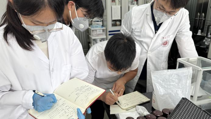 深职大学子攻克碳陶制动技术，破局热衰退难题