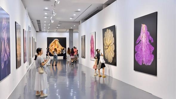 《国色・九歌》粤港澳首展在罗湖开幕