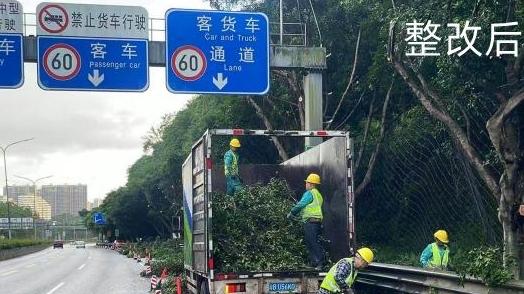 街社共治快报｜市民反映梅观路标志牌被树枝遮挡，梅林街道连夜修剪，消除安全隐患