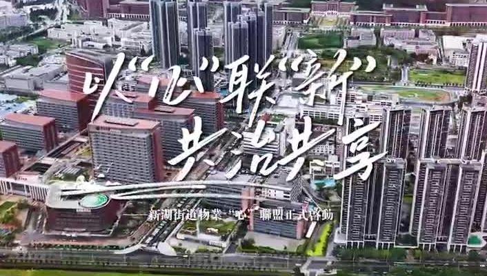 “心”联“新”，新湖街道物业“心”联盟正式启动