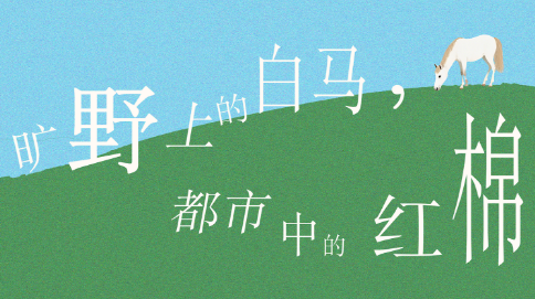 文以雅聚！第八届红棉文学奖启动