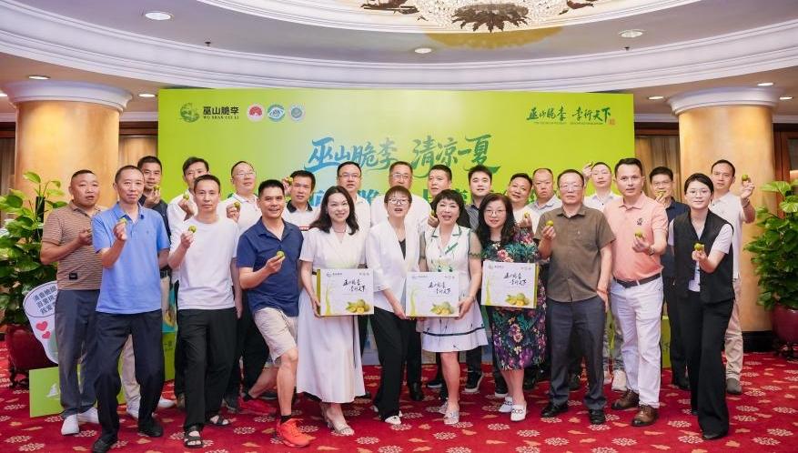 巫山脆李登陆大湾区，深圳推介会现场签约3700余吨